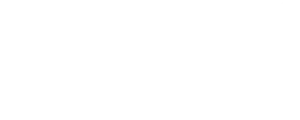 Logo White ProtopVA - Best Company for hiring Latin Virtual Assistants